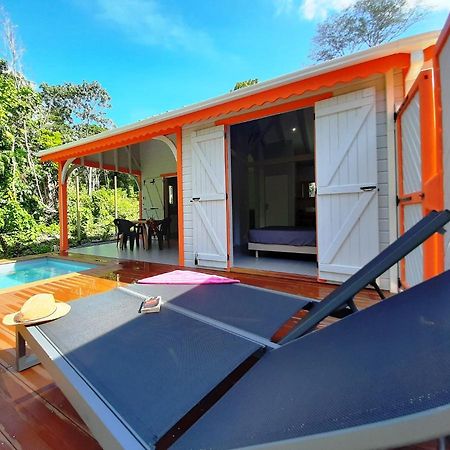 Caraibes Cottages Corail Piscine Privee A 900M De La Plage De Grande Anse Десе Екстериор снимка