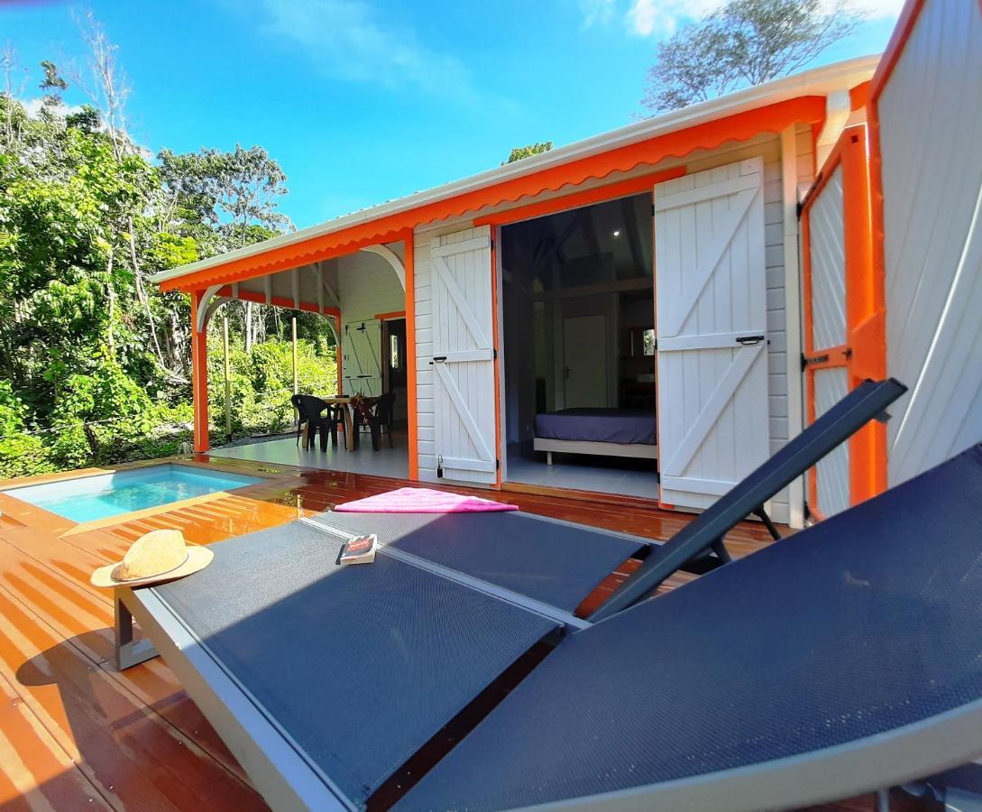 Caraibes Cottages Corail Piscine Privee A 900M De La Plage De Grande Anse Десе Екстериор снимка