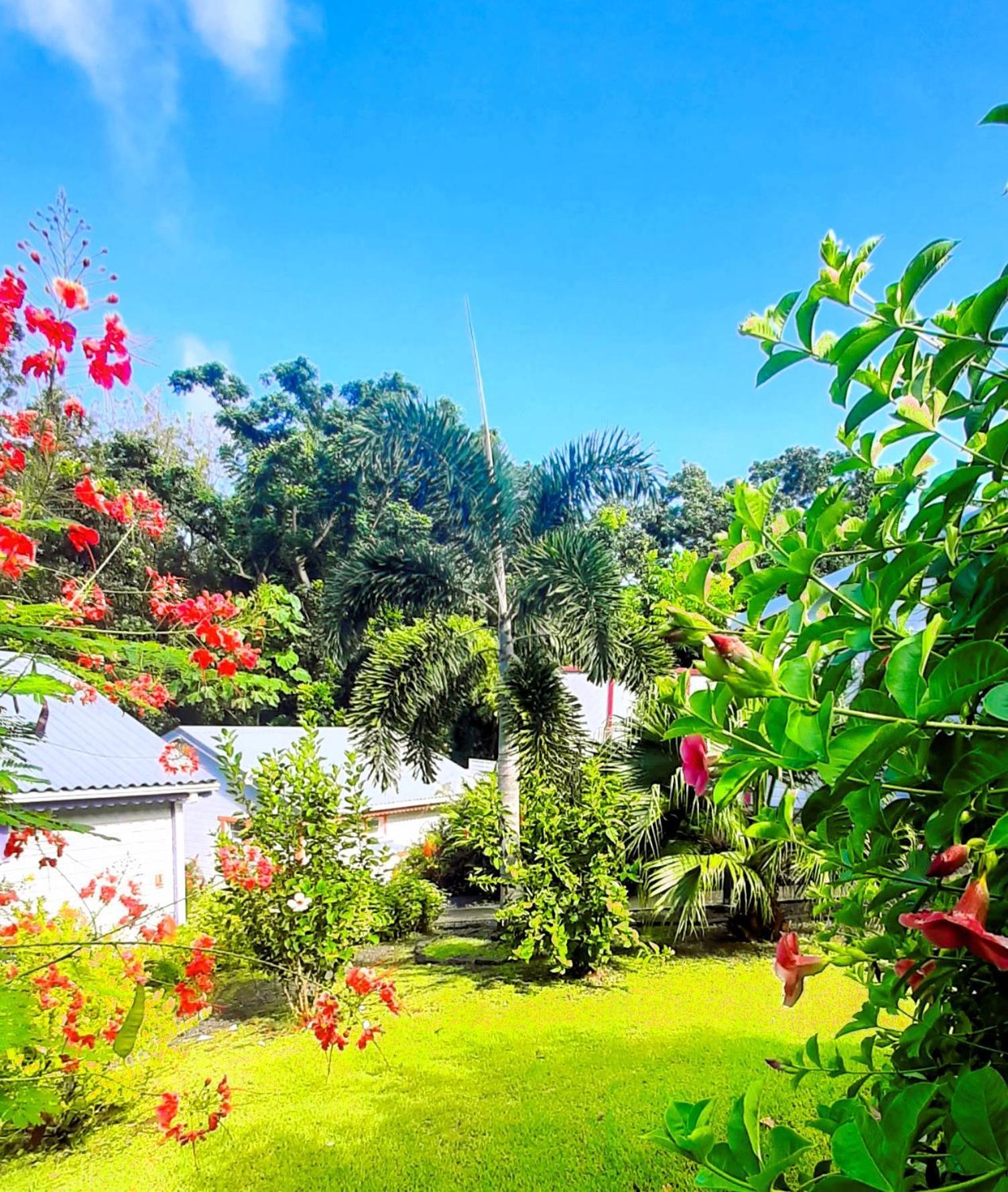 Caraibes Cottages Corail Piscine Privee A 900M De La Plage De Grande Anse Десе Екстериор снимка