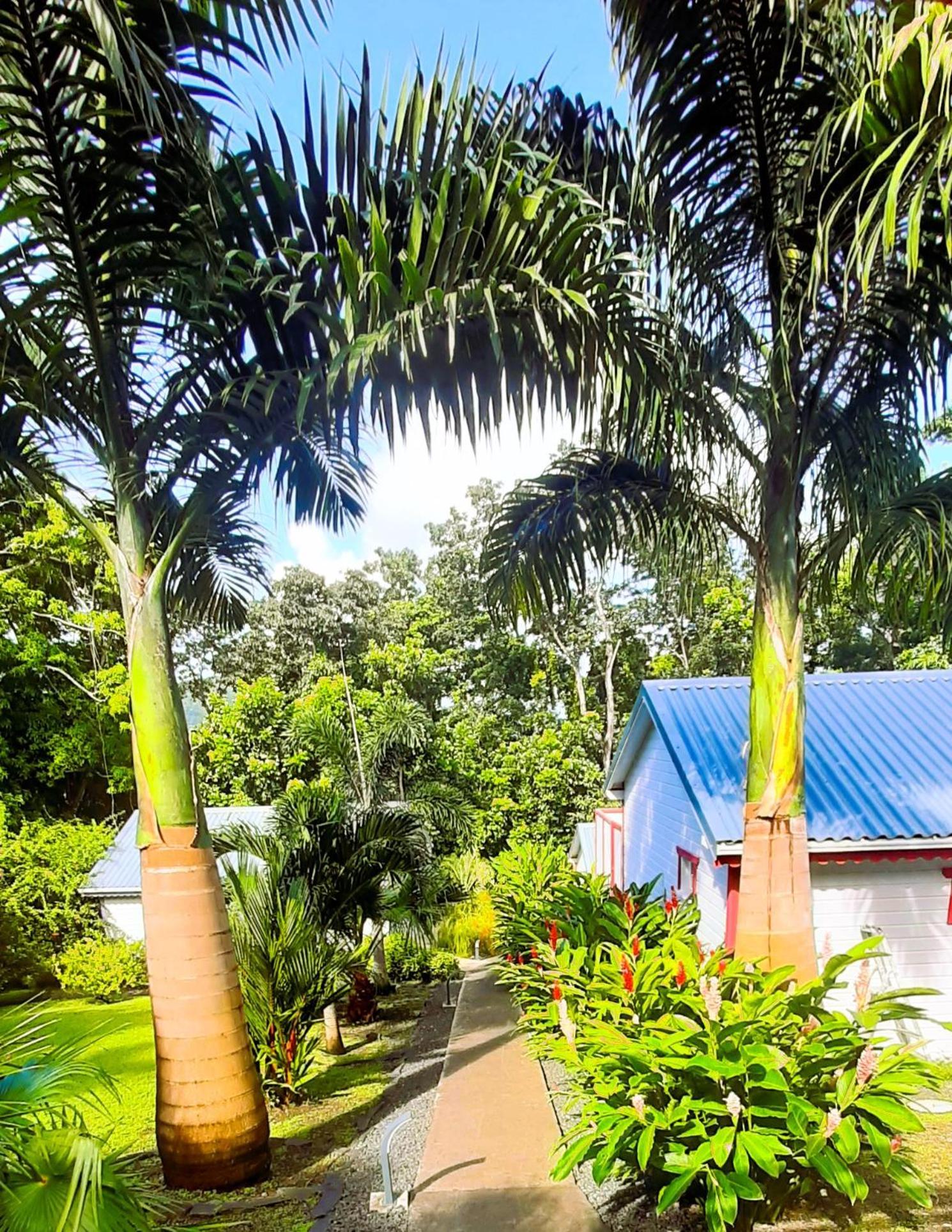 Caraibes Cottages Corail Piscine Privee A 900M De La Plage De Grande Anse Десе Екстериор снимка